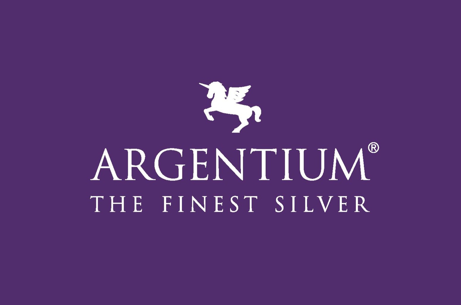 Argentium The Finest Silver